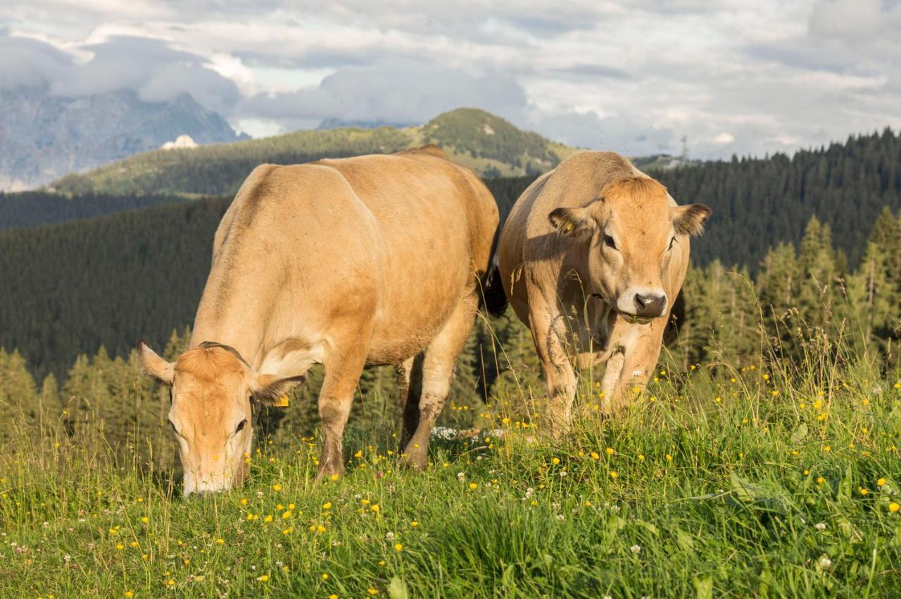 Bommerhof Waidring Kültér fotó