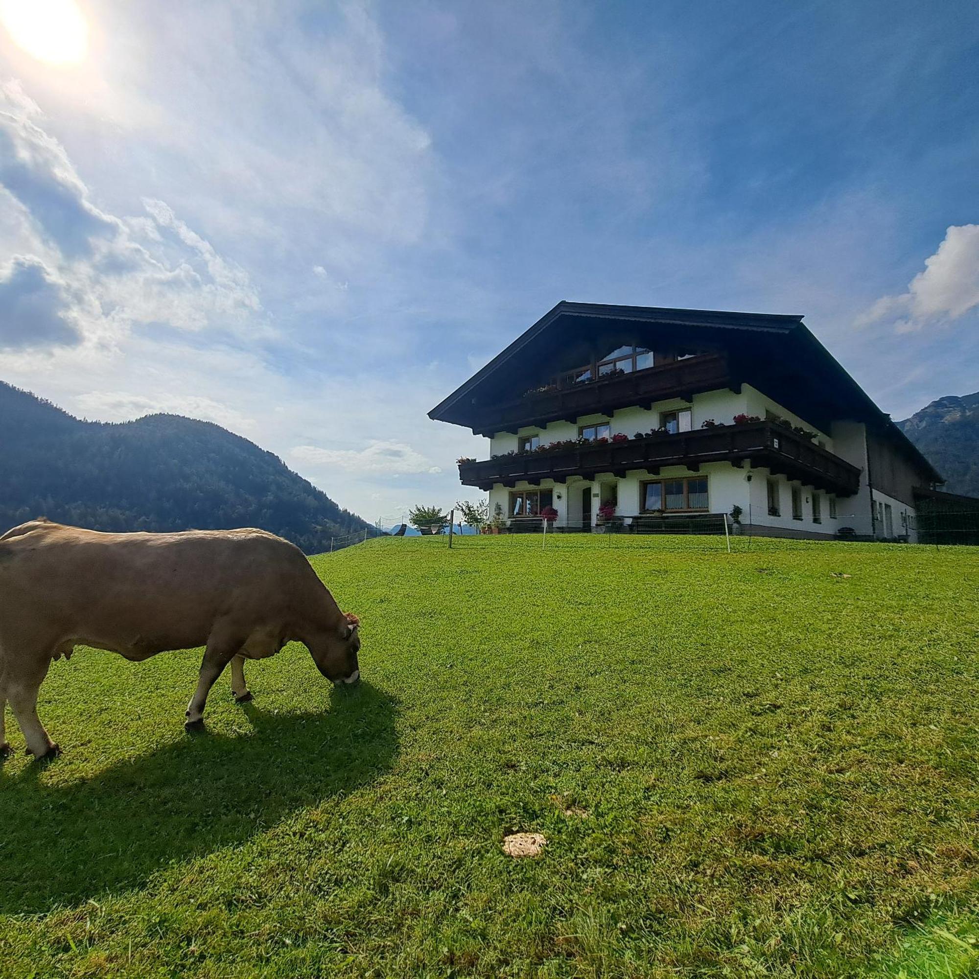 Bommerhof Waidring Kültér fotó