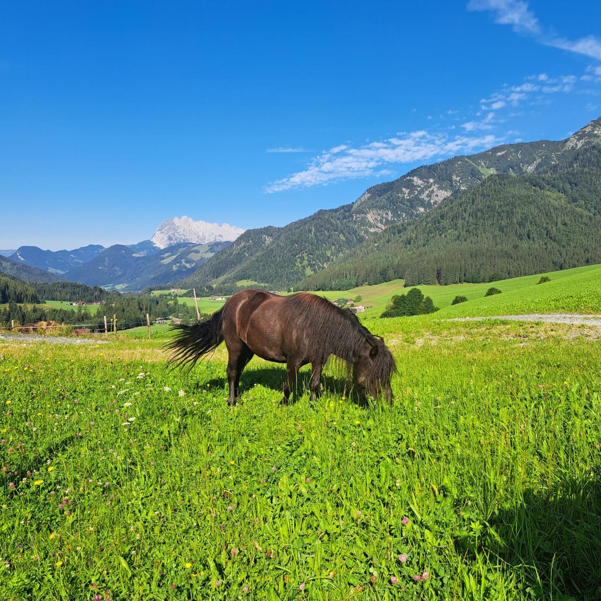 Bommerhof Waidring Kültér fotó